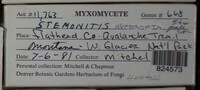 Image Associated With the Occurence